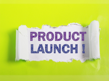 4. Marketing and Launch